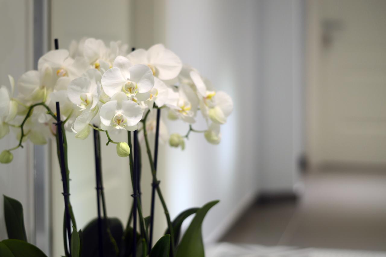 Barbarella Suite Napoli Ngoại thất bức ảnh